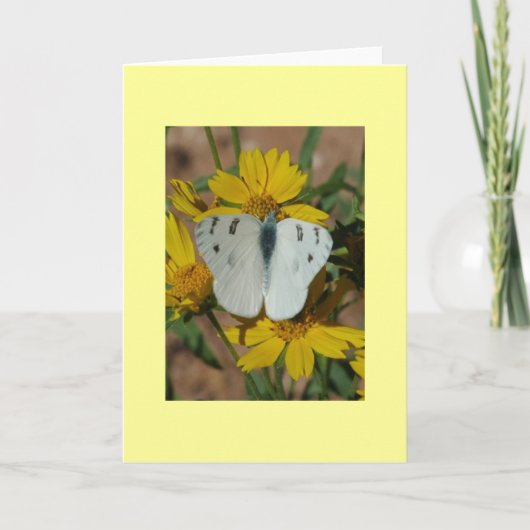 WEISSER SCHMETTERLING KARTE (Vorderseite)