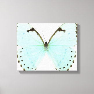 Weißer Schmetterling Leinwanddruck