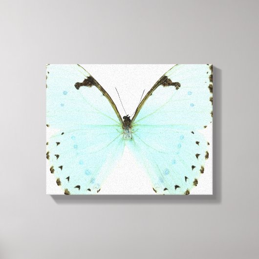 Weißer Schmetterling Leinwanddruck (Vorderseite)