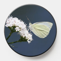 Weißer Schmetterling PopSocket