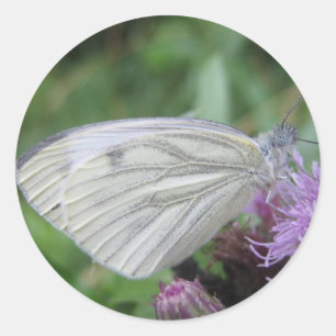 Weißer Schmetterlingsaufkleber Runder Aufkleber
