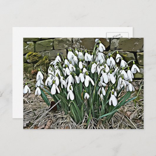 Weißer Schneefall, erste Frühlingspostcard der Blu Postkarte (Vorne/Hinten)