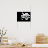 Weißer Schwan auf schwarzem Hintergrund Poster (Küche)