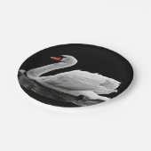 Weißer Schwan auf See Pappteller (Schrägansicht)