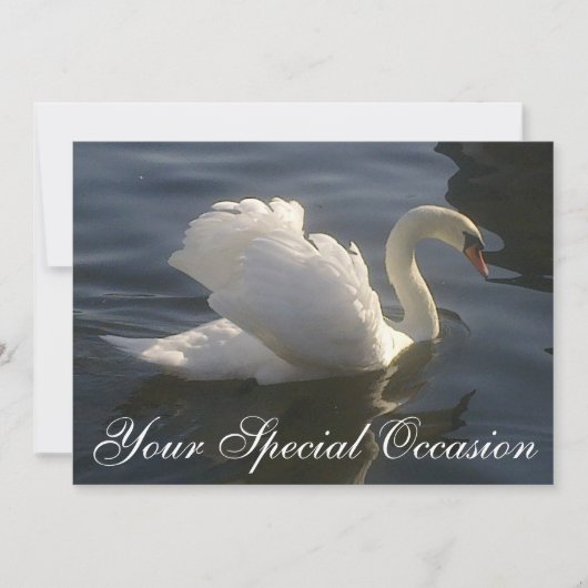 Weißer Schwan Einladung (Vorderseite)