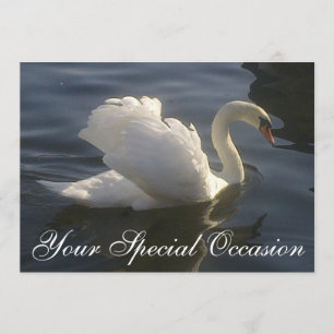 Weißer Schwan Einladung