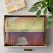 Weißer Schwan in einem See mit einem orange Seidenpapier (Geschenk)