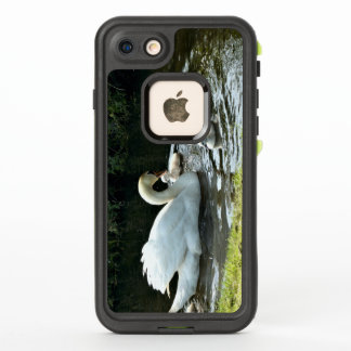 Weißer Schwan mit Chicks