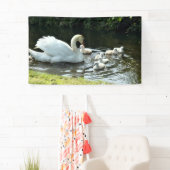 Weißer Schwan mit Chicks Banner (Insitu)
