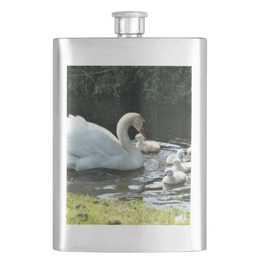 Weißer Schwan mit Chicks Flachmann (Vorderseite)