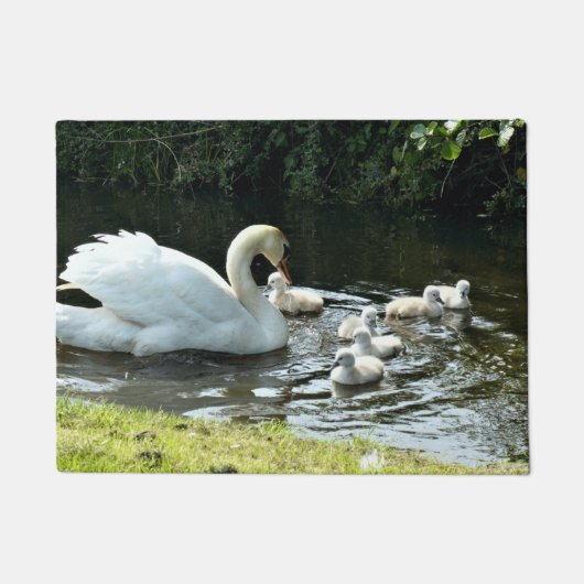 Weißer Schwan mit Chicks Fußmatte (Vorderseite)