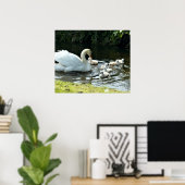 Weißer Schwan mit Chicks Poster (Heimbüro)