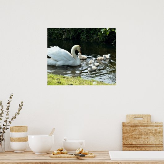 Weißer Schwan mit Chicks Poster (Küche)