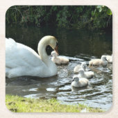 Weißer Schwan mit Chicks Rechteckiger Pappuntersetzer (Vorderseite)