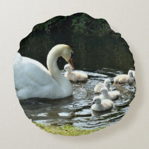 Weißer Schwan mit Chicks Rundes Kissen