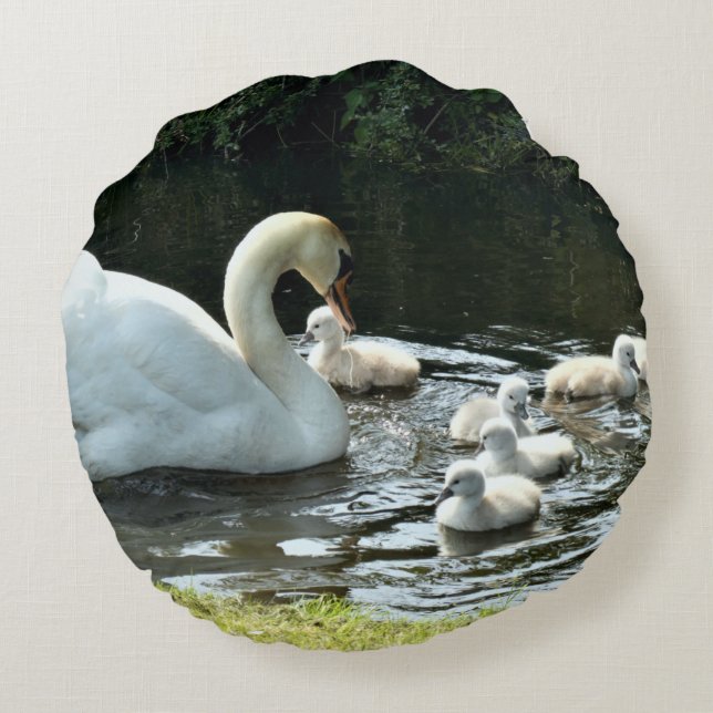 Weißer Schwan mit Chicks Rundes Kissen (Rückseite)
