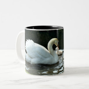 Weißer Schwan mit Chicks Zweifarbige Tasse