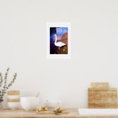 Weißer Schwan Poster (Küche)