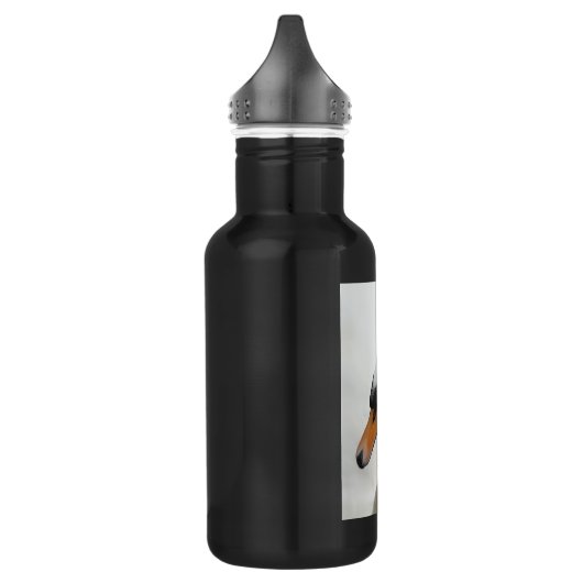 Weißer Schwan Trinkflasche (Links)