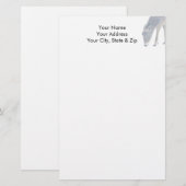 Weißer Schwanz Briefpapier (Vorne/Hinten)