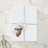 Weißer Schwanz Geschenkanhänger (Mit Garn)