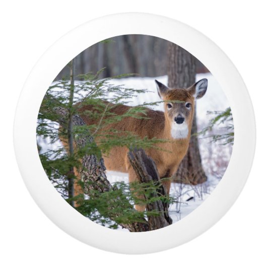 Weißer Schwanz Hirsch im Schnee Keramikknauf (Vorderseite)