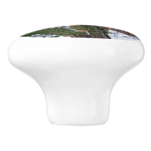 Weißer Schwanz Hirsch im Schnee Keramikknauf (Seitenansicht)