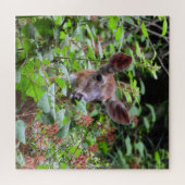 Weißer Schwanz Hirsche isst Berries Puzzle (Horizontal)