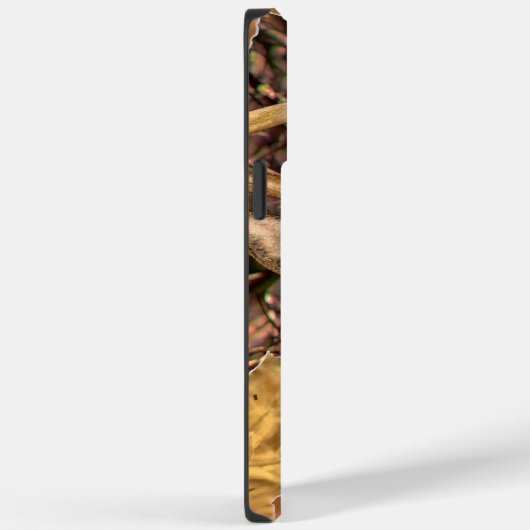 Weißer Schwanz Hirschkopf Energie auf einem Case-Mate iPhone Hülle (Rückseite / Rechts)