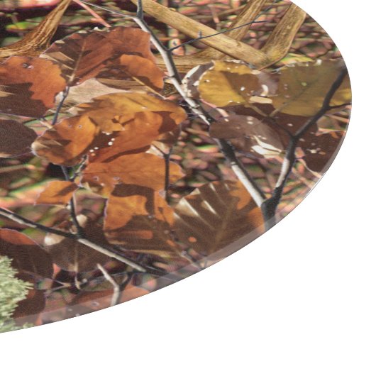 Weißer Schwanz Hirschkopf Energie auf einem Schneidebrett (Ecke)