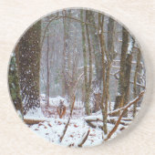 Weißer Schwanz im Schnee Getränkeuntersetzer (Vorne)