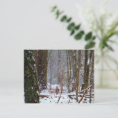 Weißer Schwanz im Schnee Postkarte (Stehend Vorderseite)