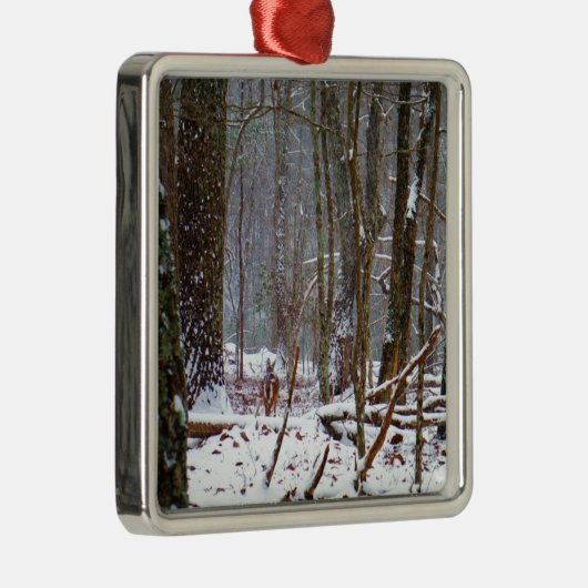 Weißer Schwanz im Schnee Silbernes Ornament (Rechts)