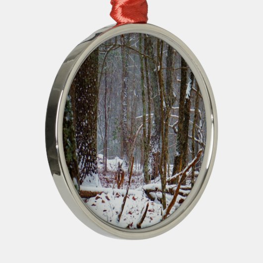 Weißer Schwanz im Schnee Silbernes Ornament (Rechts)