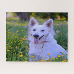 Weisser Schweizer Schäferhund Jigsaws. Puzzle