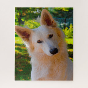 Weisser Schweizer Schäferhund Jigsaws. Puzzle
