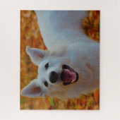 Weisser Schweizer Schäferhund Jigsaws. Puzzle (Vertikal)