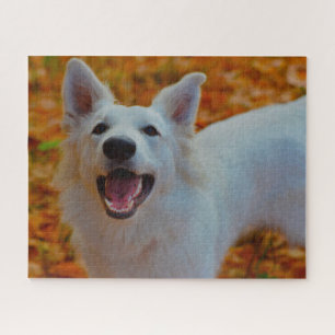 Weisser Schweizer Schäferhund Jigsaws. Puzzle