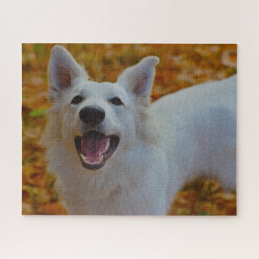Weisser Schweizer Schäferhund Jigsaws. Puzzle (Horizontal)