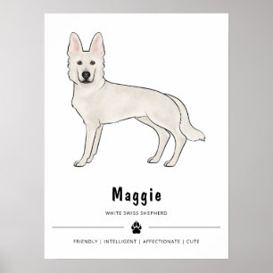 Weisser Schweizer Schäferhund Weißer GSD Und Benut Poster