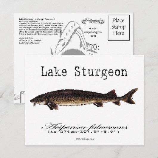 Weißer See - Postkarte (Vorne/Hinten)