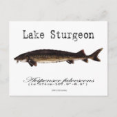 Weißer See - Postkarte (Vorderseite)