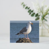 Weißer Seegras und Meer Postkarte (Stehend Vorderseite)