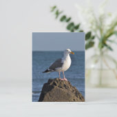 Weißer Seegras und Ozean Postkarte (Stehend Vorderseite)