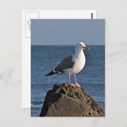 Weißer Seegras und Ozean Postkarte (Vorne/Hinten)