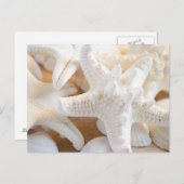 Weißer Seeteufel Postkarte (Vorne/Hinten)