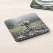 Weißer sibirischer Husky-Getränkekasten Getränkeuntersetzer (Linke Seite)