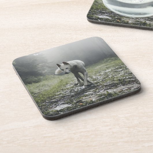 Weißer sibirischer Husky-Getränkekasten Getränkeuntersetzer (Linke Seite)