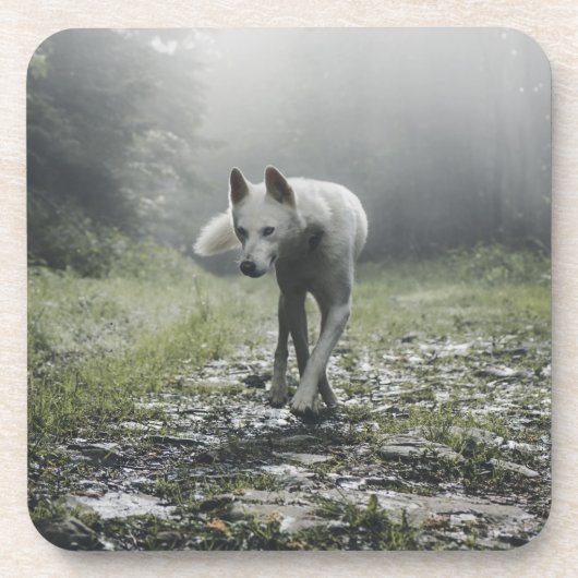 Weißer sibirischer Husky-Getränkekasten Getränkeuntersetzer (Vorderseite)