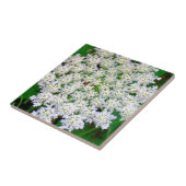 Weißer SpitzeHydrangea Fliese (Seite)